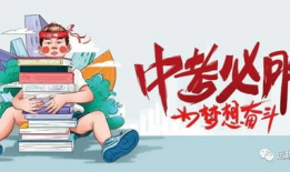 国宝YY最新爆料消息,揭秘娱乐圈最新热点事件
